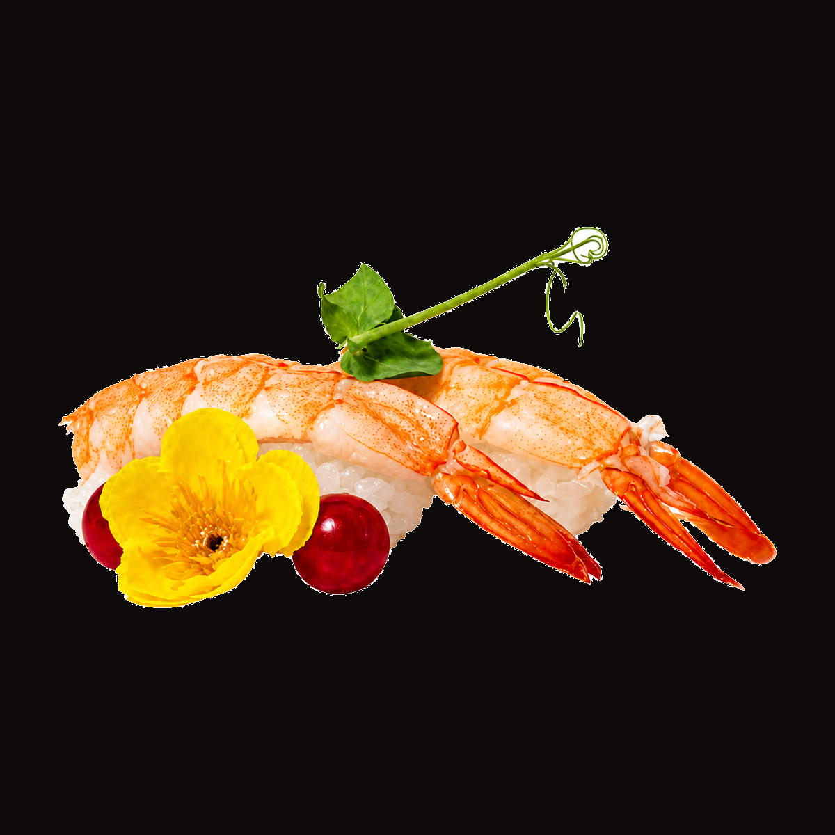 Ebi Nigiri